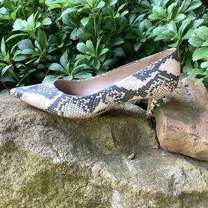STEVE MADDEN reptile pump shoe